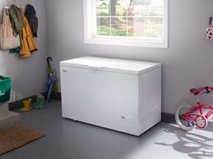 Freezer for shop a garage