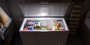 Chest freezer in unheated best sale garage