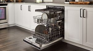 Sanitizing dishwasher online
