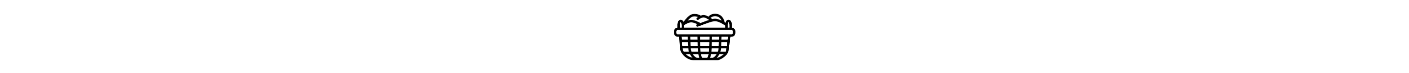 Laundry basket icon