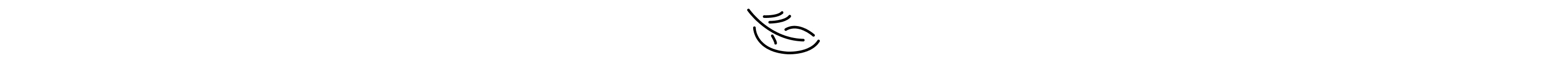 Feather icon
