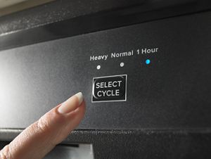Dishwasher with Triple Filter Wash System