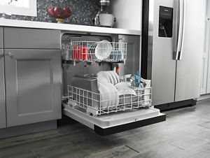 Dishwasher with Triple Filter Wash System
