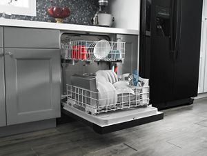 Dishwasher with Triple Filter Wash System