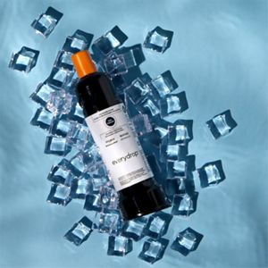 Model: F2WC9I1 | EveryDrop Ice Filter F2WC9I1
