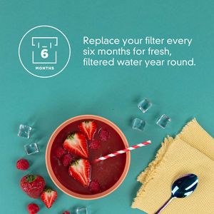 Model: F2WC9I1 | EveryDrop Ice Filter F2WC9I1